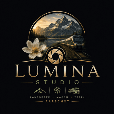 store_logo